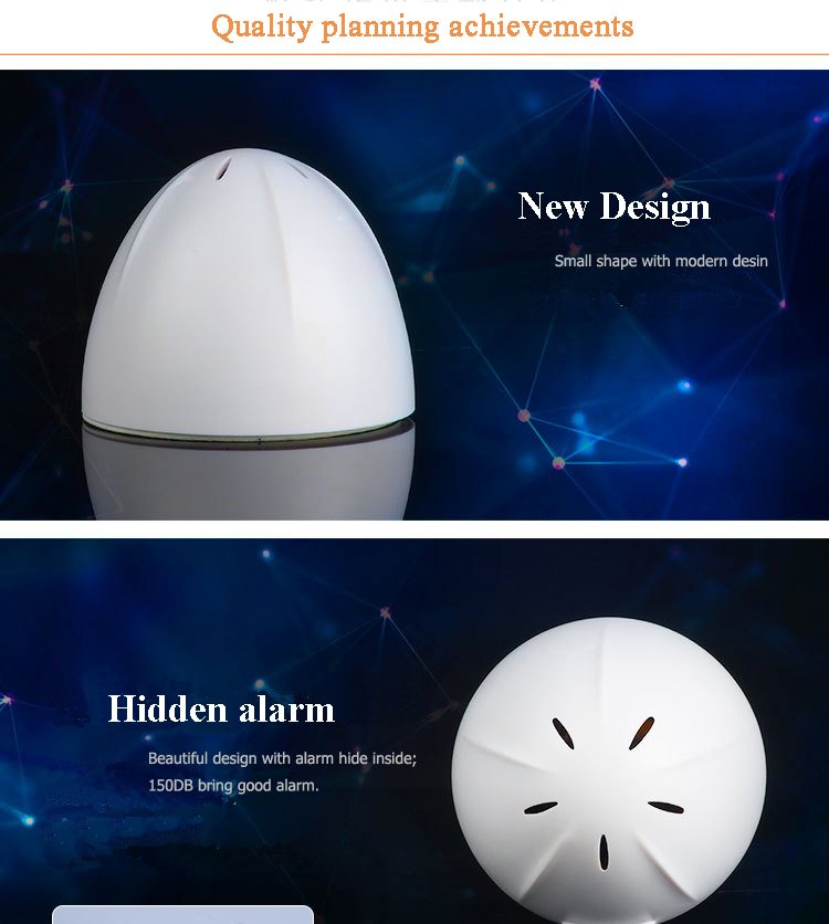 Display Security ~5-01.JPG